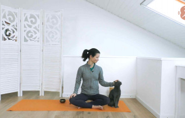 Ardha Chandrasana - Lezione yoga con la storia della mezza luna