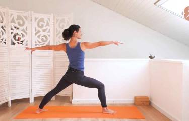 Salti, animali e guerrieri - Vinyasa flow