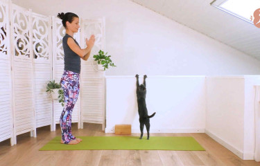 Vitalità dai fianchi - Vinyasa yoga per il core