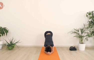 Spalle Forti e Liberi - Posizione del Delfino